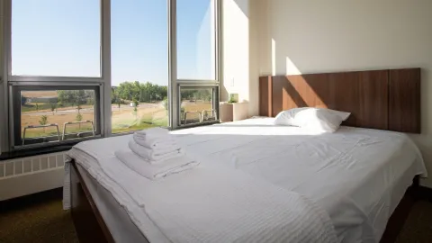 Executive Suite Bed