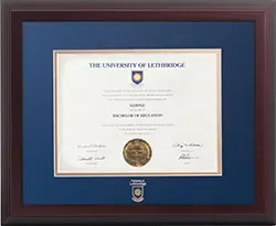A sample frame that displays a parchment surrounded by a wide blue border and a dark brown frame