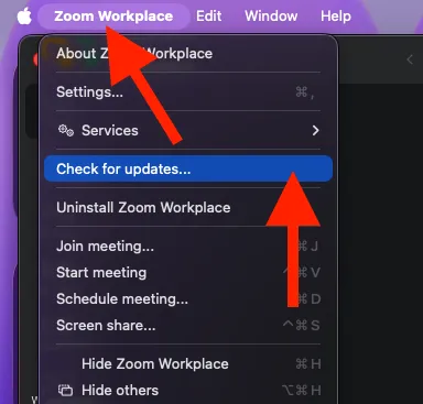 zoom check for update