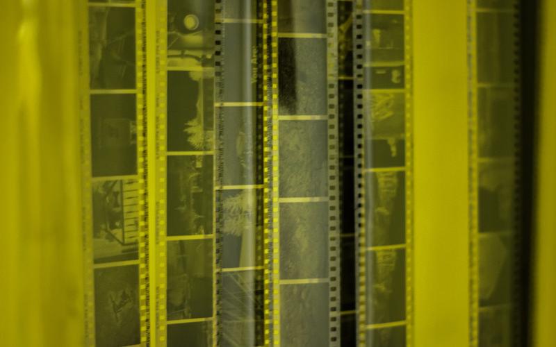 image of film negatives