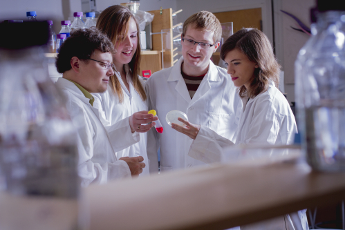 U of L iGEM students Isaac Ward, Mackenzie Coatham (BSc ’12), Harland Brandon (BSc ’13) and Erin Kelly are using their research and entrepreneurial skills to launch their own company. (Photo by Leslie Ohene-Adjei)