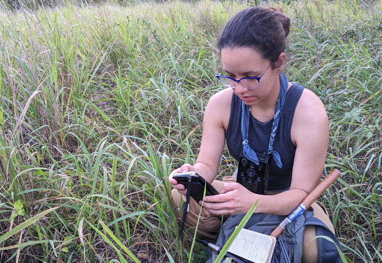 PhD student Juleyska Vazquez Cardona working in the field.