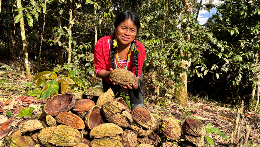 Co-PI Roxana Tanguila is pictured with cacao husks at a chakra workshop.