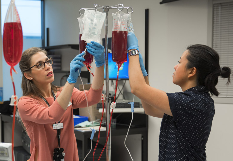 SAMP’s first cohort of students begins learning in July 2026.