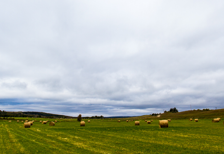 The land that has such a deep connection to her family’s past will create a bright future for the University of Lethbridge.