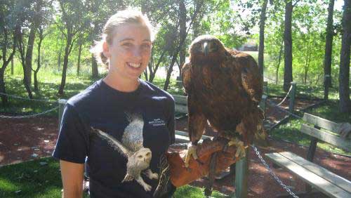 Carli Chalmers gained hands-on experience at the Birds of Prey Centre while studying in the Applied Studies program at the U of L.