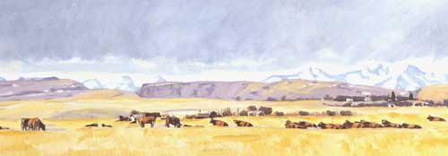 Cows and Little Ones McInnis