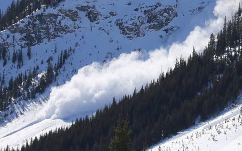 The avalanche slope shortly after the avalanche event was triggered.